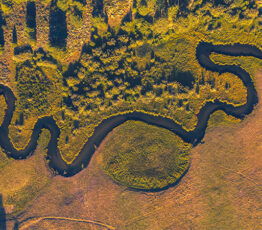 [Appel à experts – Ipbes]  Évaluation « planification spatiale et connectivité écologique »